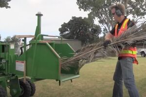 CHIPPING OLD DRY PALM FRONDS CREATING ORGANIC COMPOST